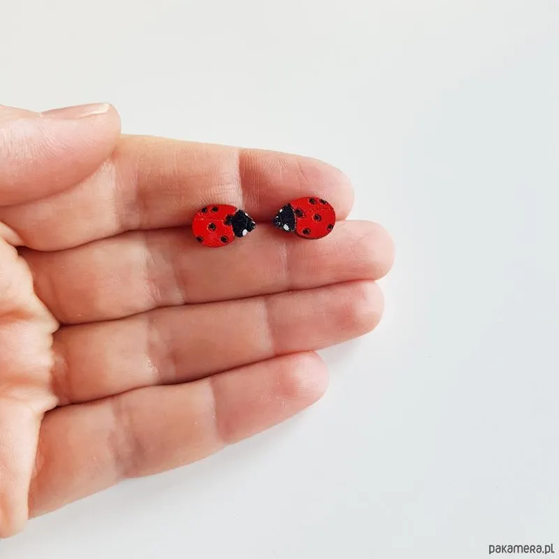 Biedronki w Lublinie – ile ich tak naprawdę jest?