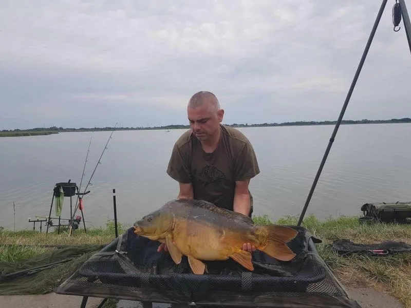 Gdzie w Lublinie kupić świeżego karpia na święta?