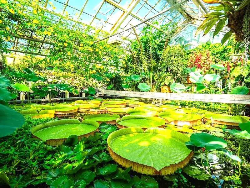 Ogród botaniczny w Lublinie - 5 powodów, dla których warto go odwiedzić