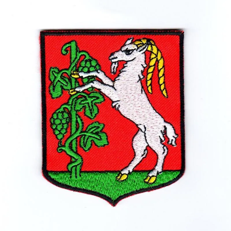 Barwy i kształty herbu Lublina