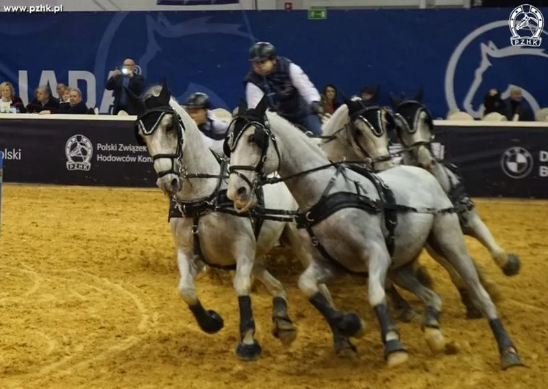 Cavaliada Lublin 2026