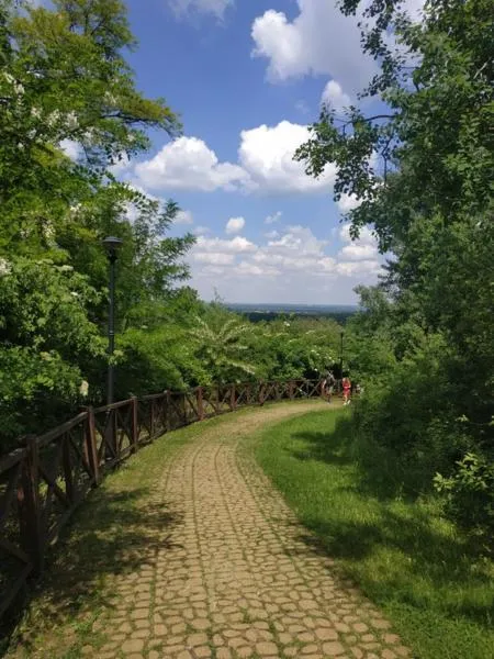Kolekcja roślin w Lublinie