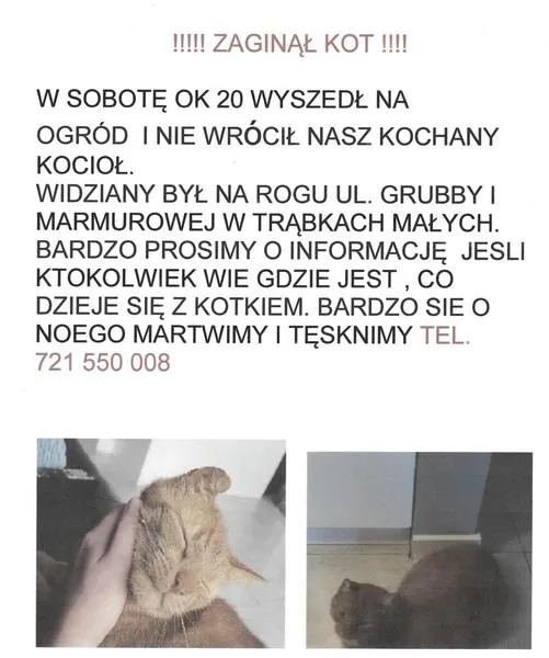 Komedia brytyjska w Lublinie