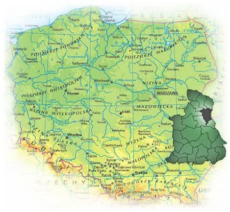 Najszybsza trasa Lublin Włodawa