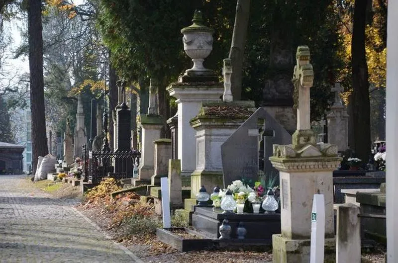 Poszukiwanie zmarłych na cmentarzu Lipowa