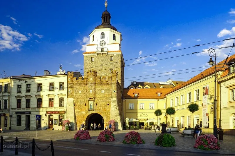 Programy wyborcze