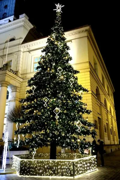 Świąteczne rośliny i dekoracje
