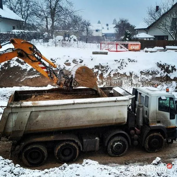 Świeży karp na święta