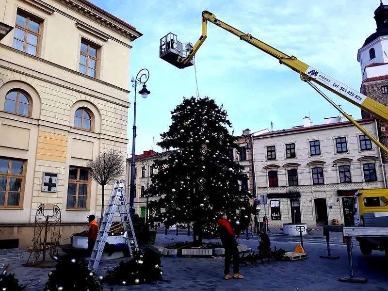 Zakup choinki Lublin