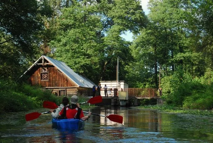 Życie nad rzeką